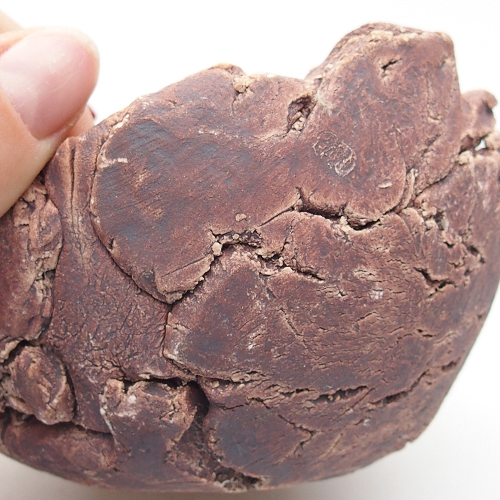 Ceramic Shell 9,5 x 9 x 7 cm , colour brown