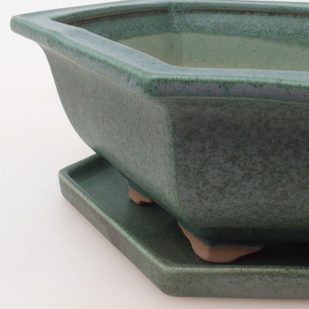 Bonsai pot + saucer H53 - 19 x 21.5 x 7 cm. - green