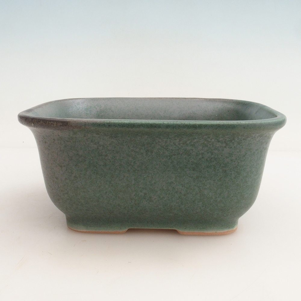 Bonsai bowl H36 - 17 x 15 x 7.5 cm.