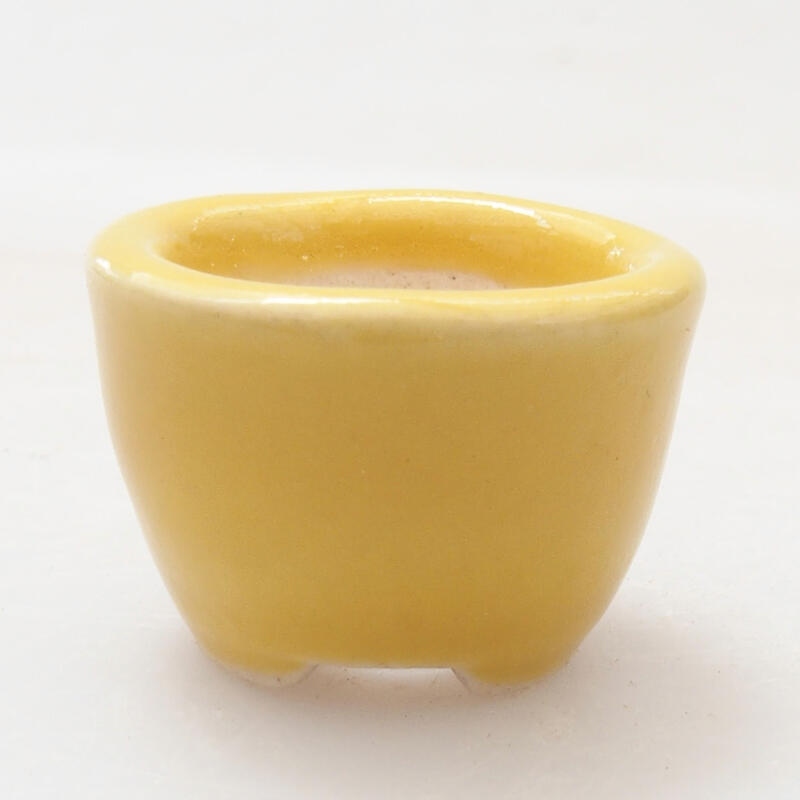 Mini bonsai bowl 2 x 2 x 1.5 cm, color yellow