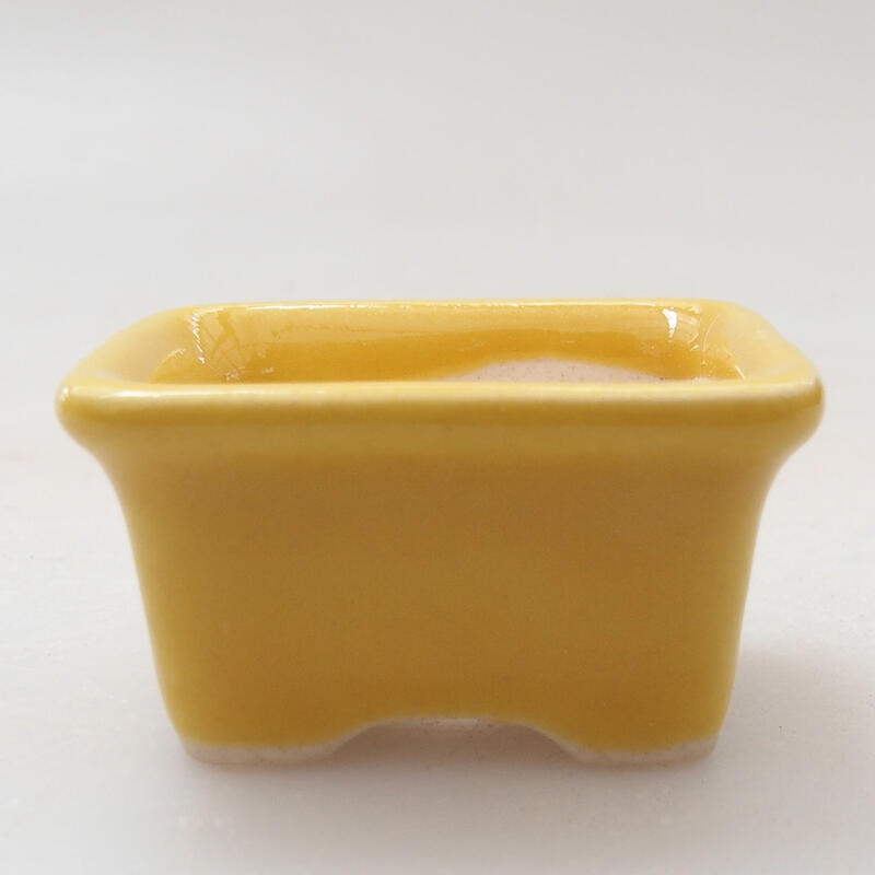 Mini bonsai bowl 3.5 x 2.5 x 2 cm, color yellow