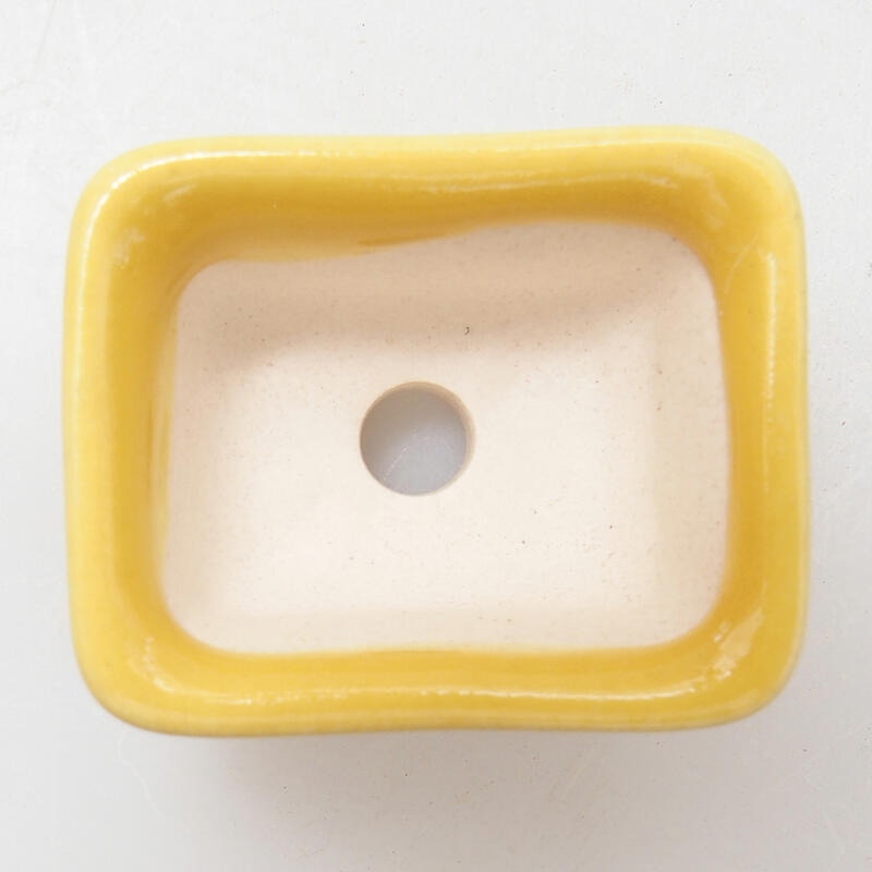 Mini bonsai bowl 3.5 x 2.5 x 2 cm, color yellow