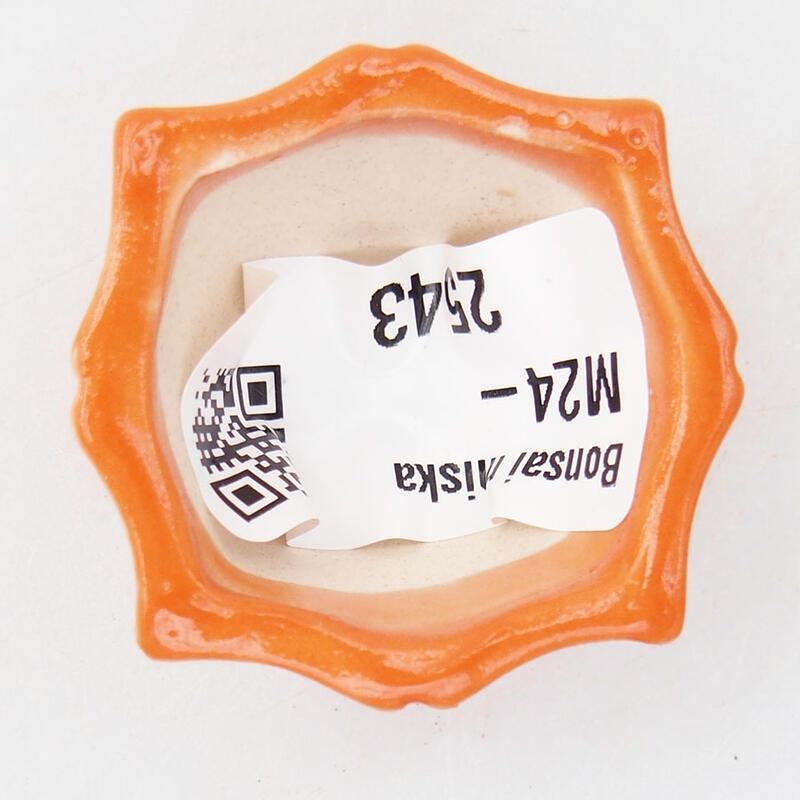 Mini bonsai bowl 3.5 x 3.5 x 2 cm, color orange