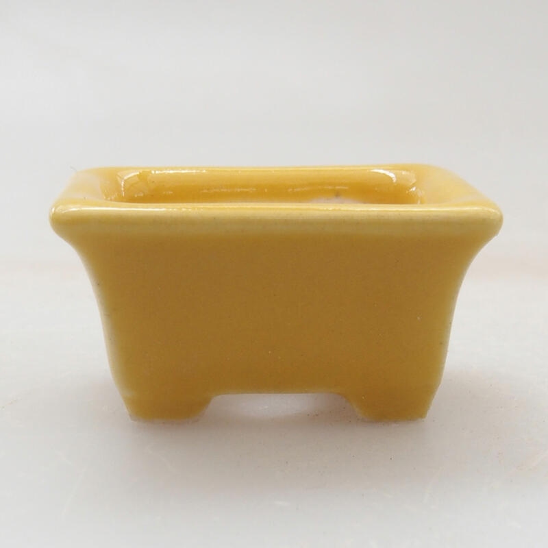 Mini bonsai bowl 3 x 2.5 x 1.5 cm, color yellow