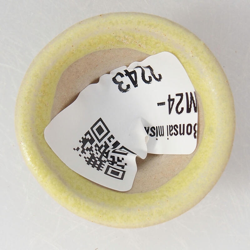 Mini bonsai bowl 3 x 3 x 2 cm, color yellow