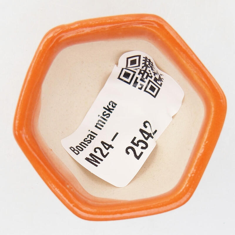 Mini bonsai bowl 4.5 x 4 x 3 cm, color orange