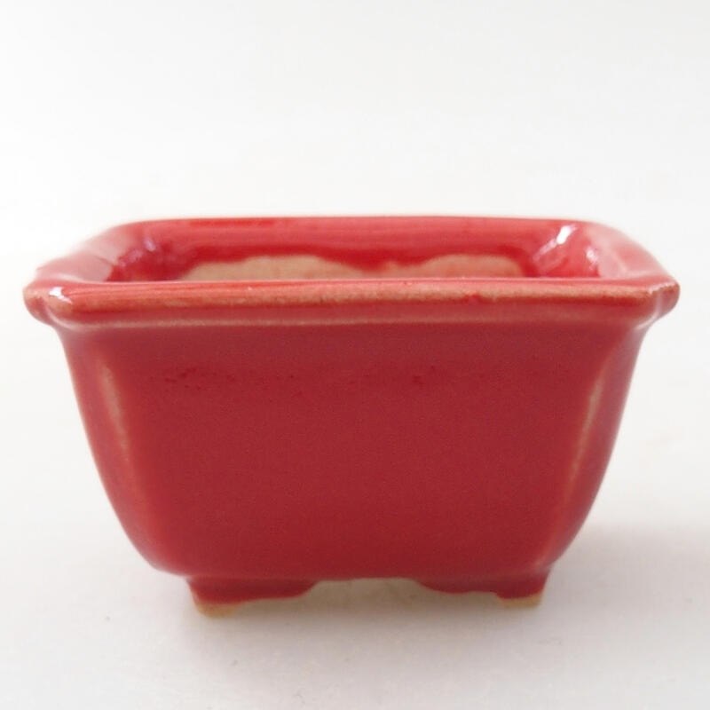 Mini bonsai bowl 4 x 3.5 x 2.5 cm, color red