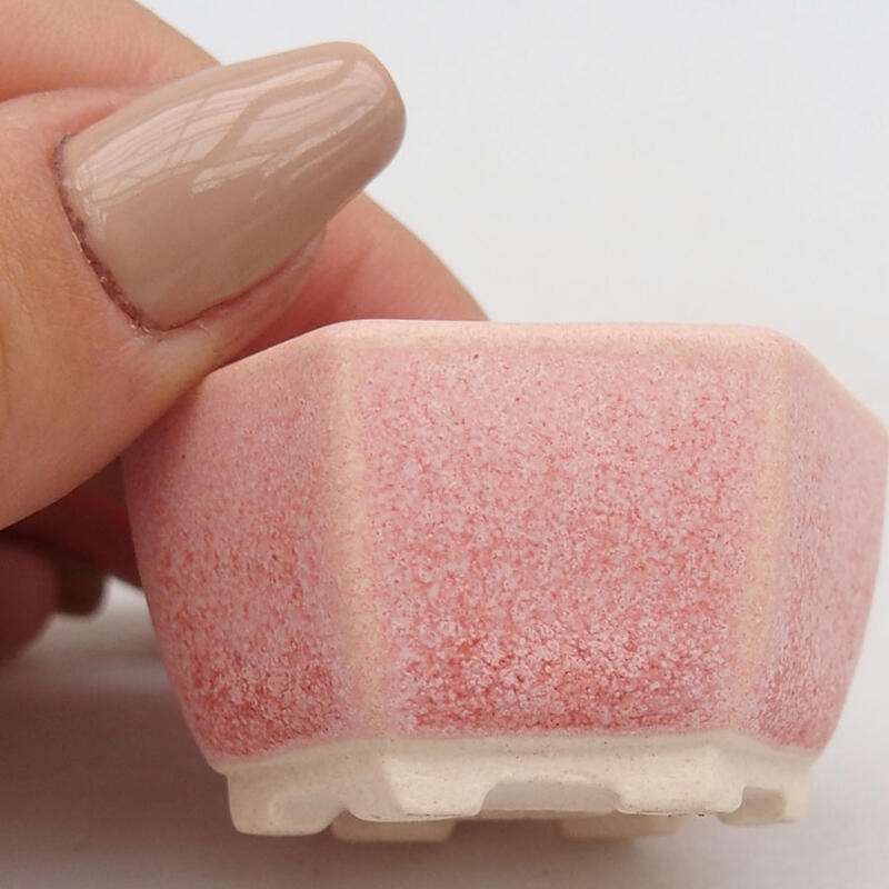 Mini bonsai bowl 4 x 3.5 x 2.5 cm, color pink