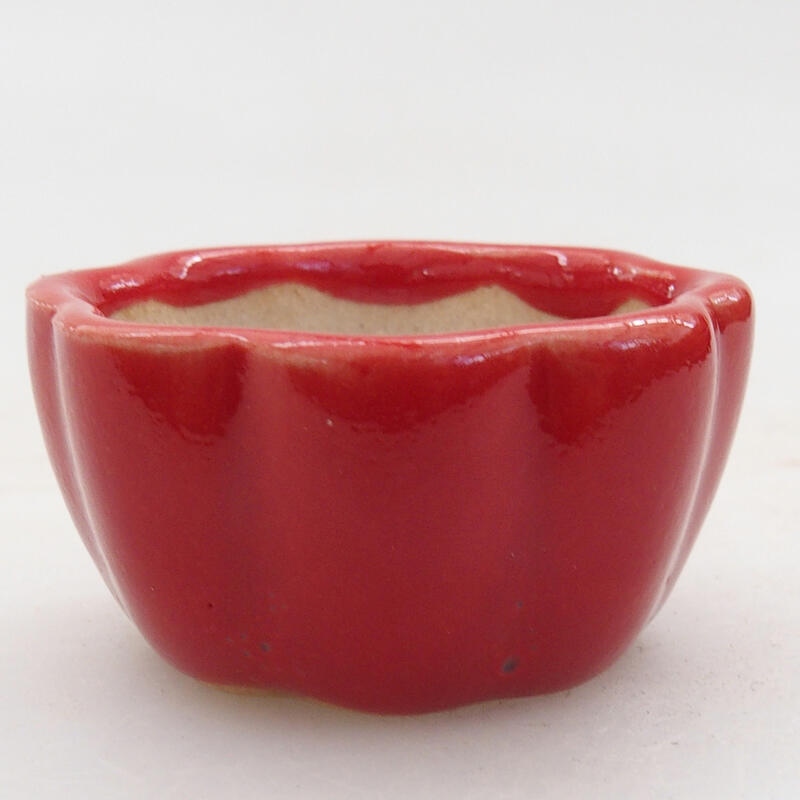 Mini bonsai bowl 4 x 4 x 2 cm, color red