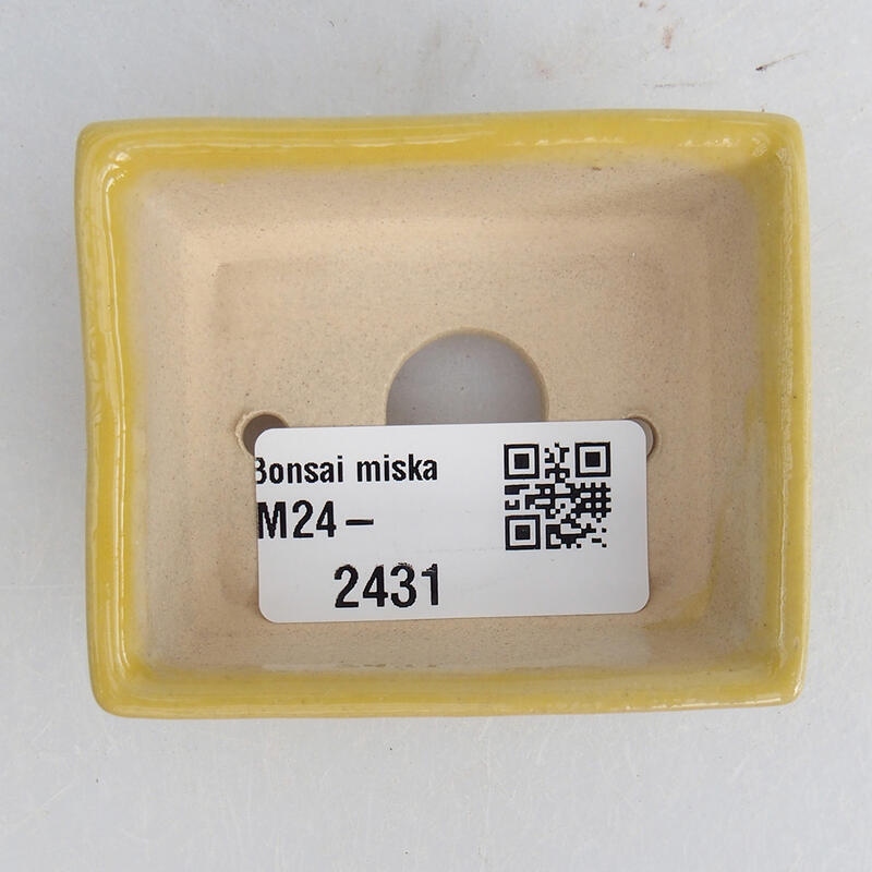 Mini bonsai bowl 6.5 x 5.5 x 2.5 cm, color yellow