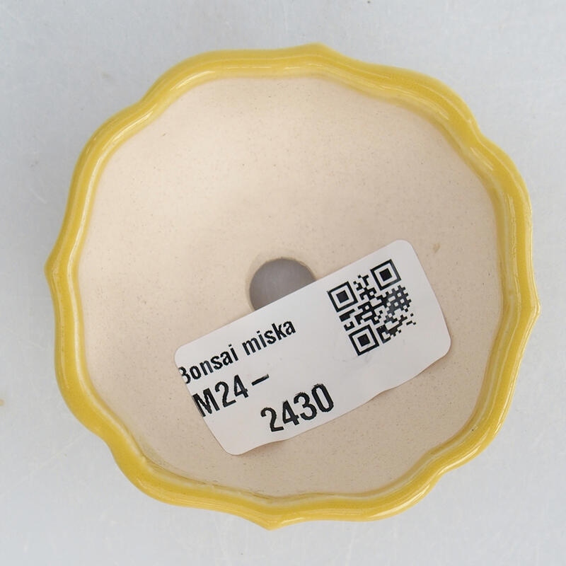 Mini bonsai bowl 6 x 6 x 3 cm, color yellow