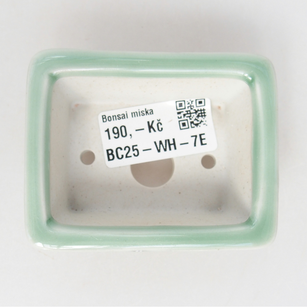 Mini bonsai bowl 8 x 6 x 3 cm, green