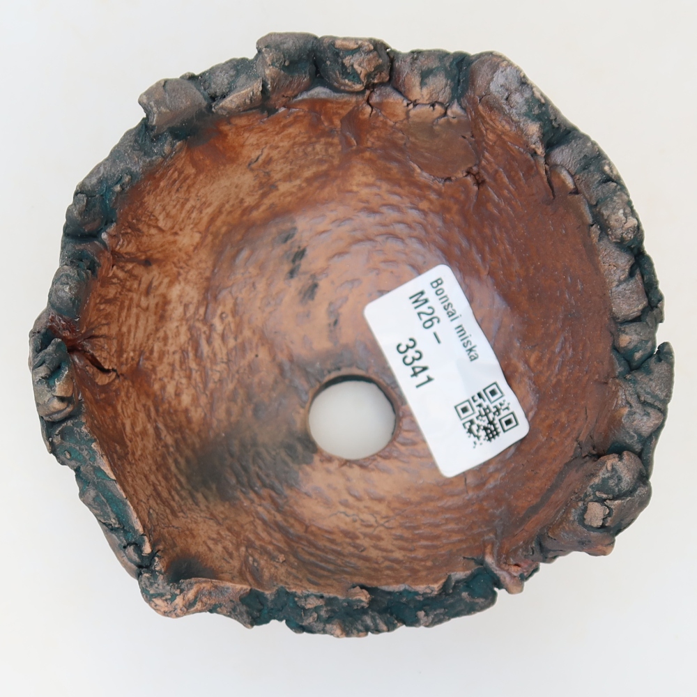 Ceramic Shell  11 x 10.5 x 6.5 cm, green
