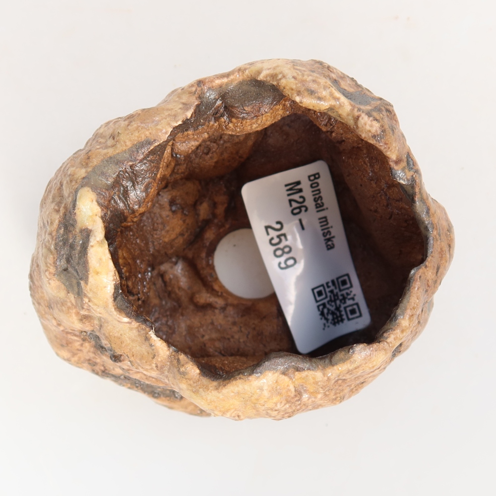Ceramic Shell, 7 x 6 x 6 cm, brown