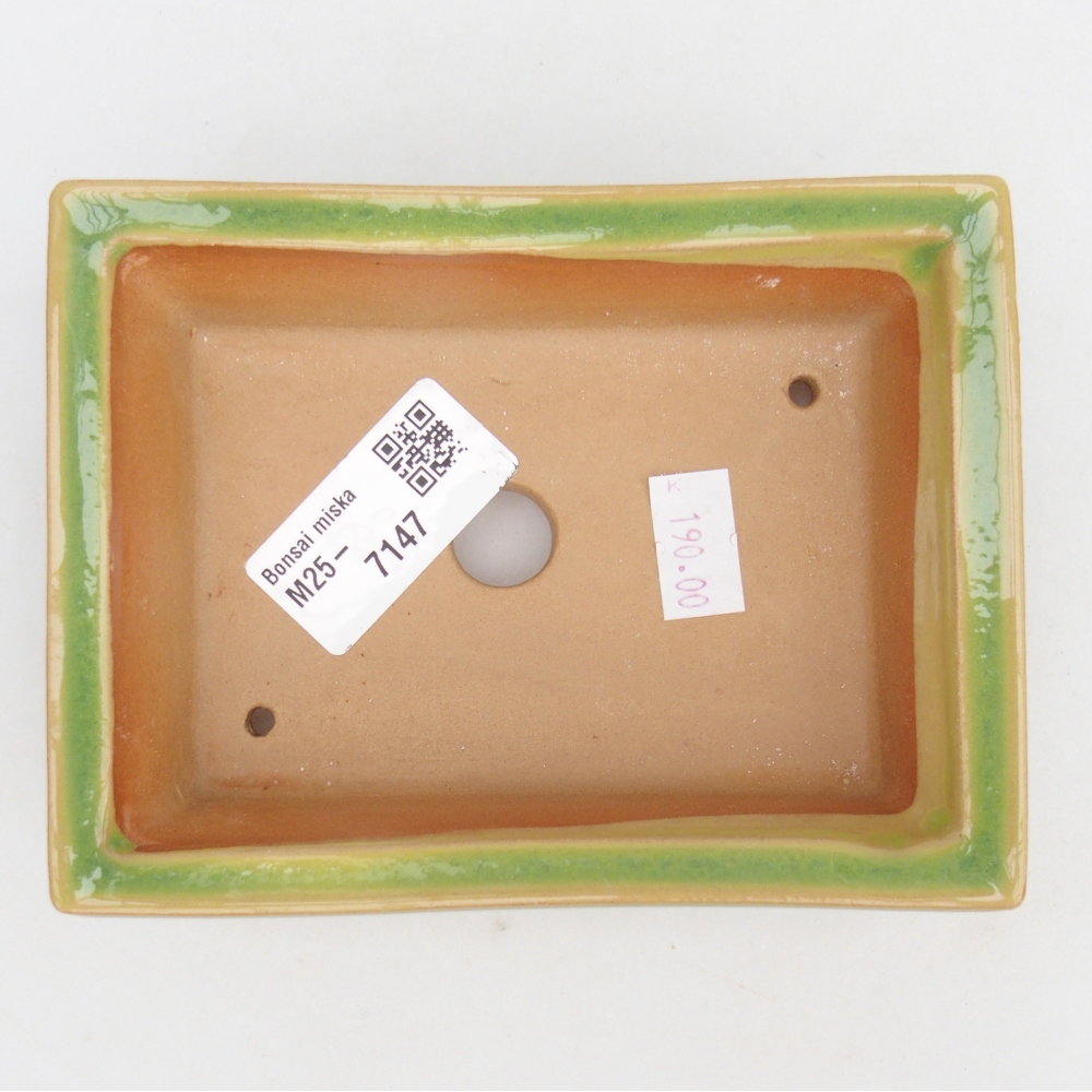 Ceramic bonsai bowl 13 x 10 x 4 cm, green
