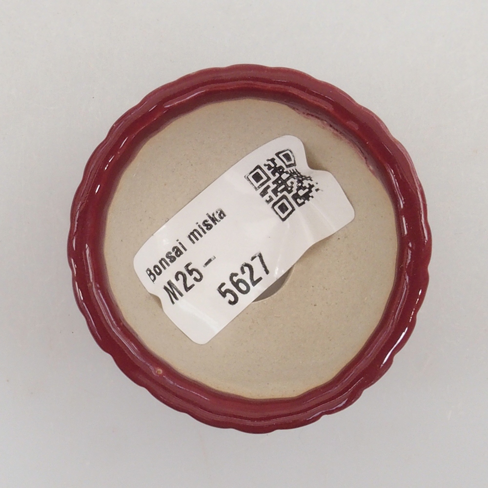 Mini bonsai bowl 5 x 5 x 2,5 cm, color burgundy