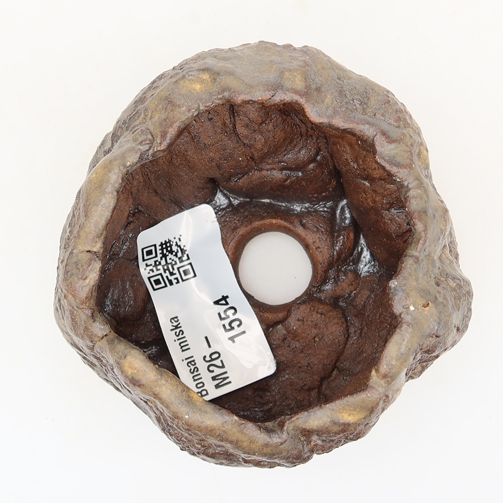 Ceramic Shell, 5.5 x 5.5 x 5 cm, brown