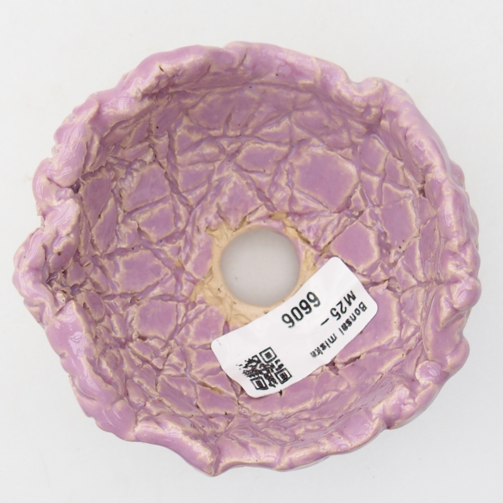 Ceramic Shell 9 x 9 x 6 cm , colour purple