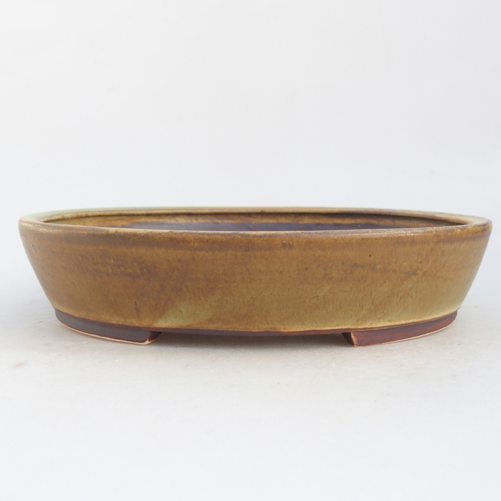 Ceramic bonsai bowl 21 x 19 x 4,5 cm, green