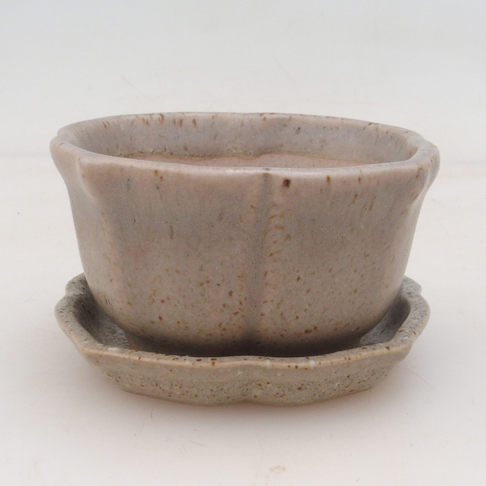 Bonsai bowl + saucer H95 - beige