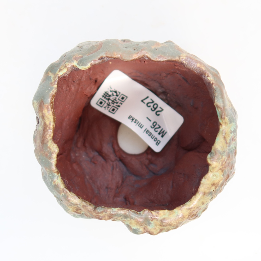Ceramic Shell, 7 x 6.5 x 5.5 cm, green