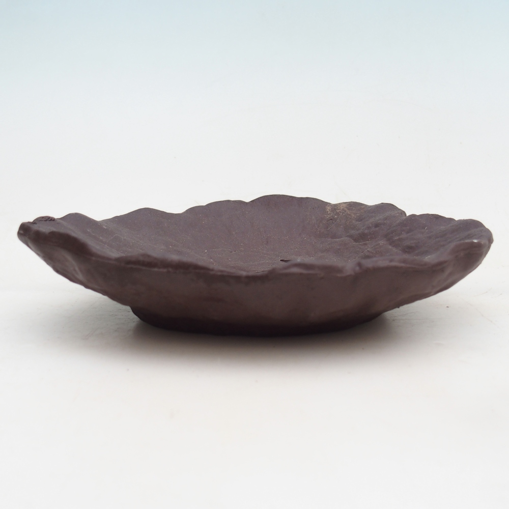 Ceramic Shell 16 x 14,5 x 4 cm , colour brown