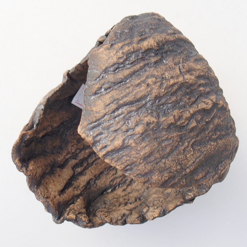 Ceramic Shell 10 x 9 x 10 cm , colour brown