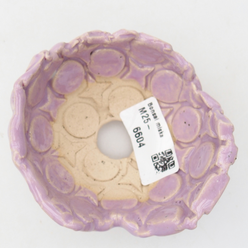 Ceramic shell 9 x 8,5 x 6 cm , colour purple