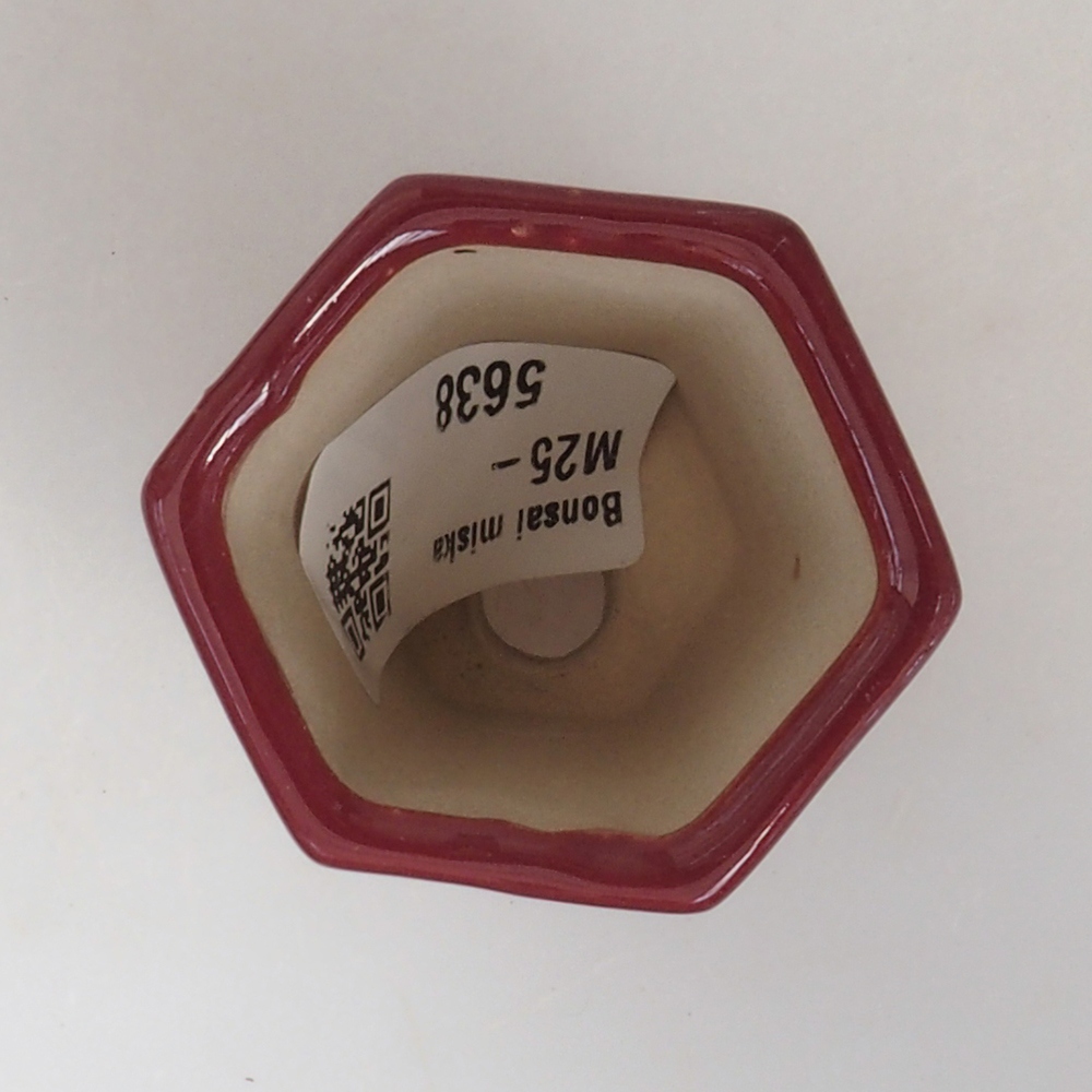 Mini bonsai bowl 4,5 x 4 x 6 cm, color burgundy