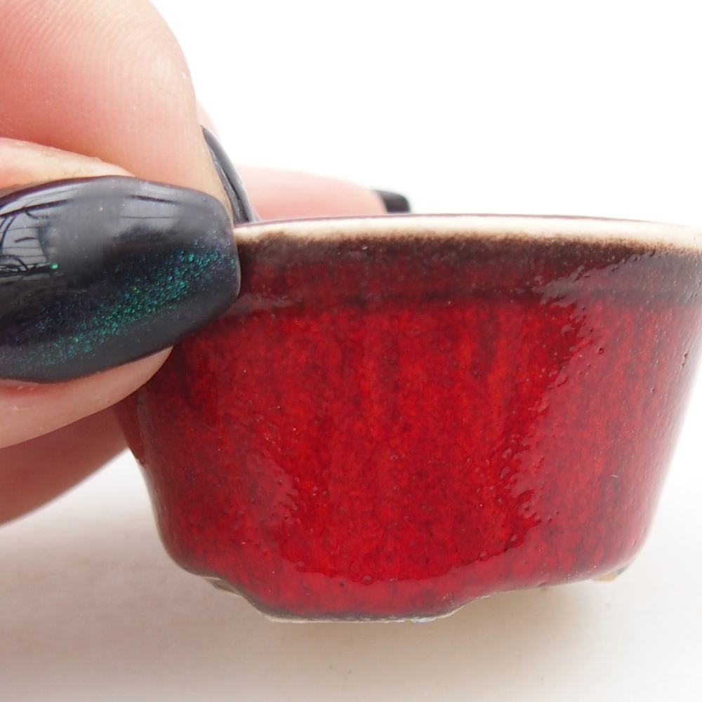 Mini bonsai bowl 4,5 x 4,5 x 2,5 cm, colour red