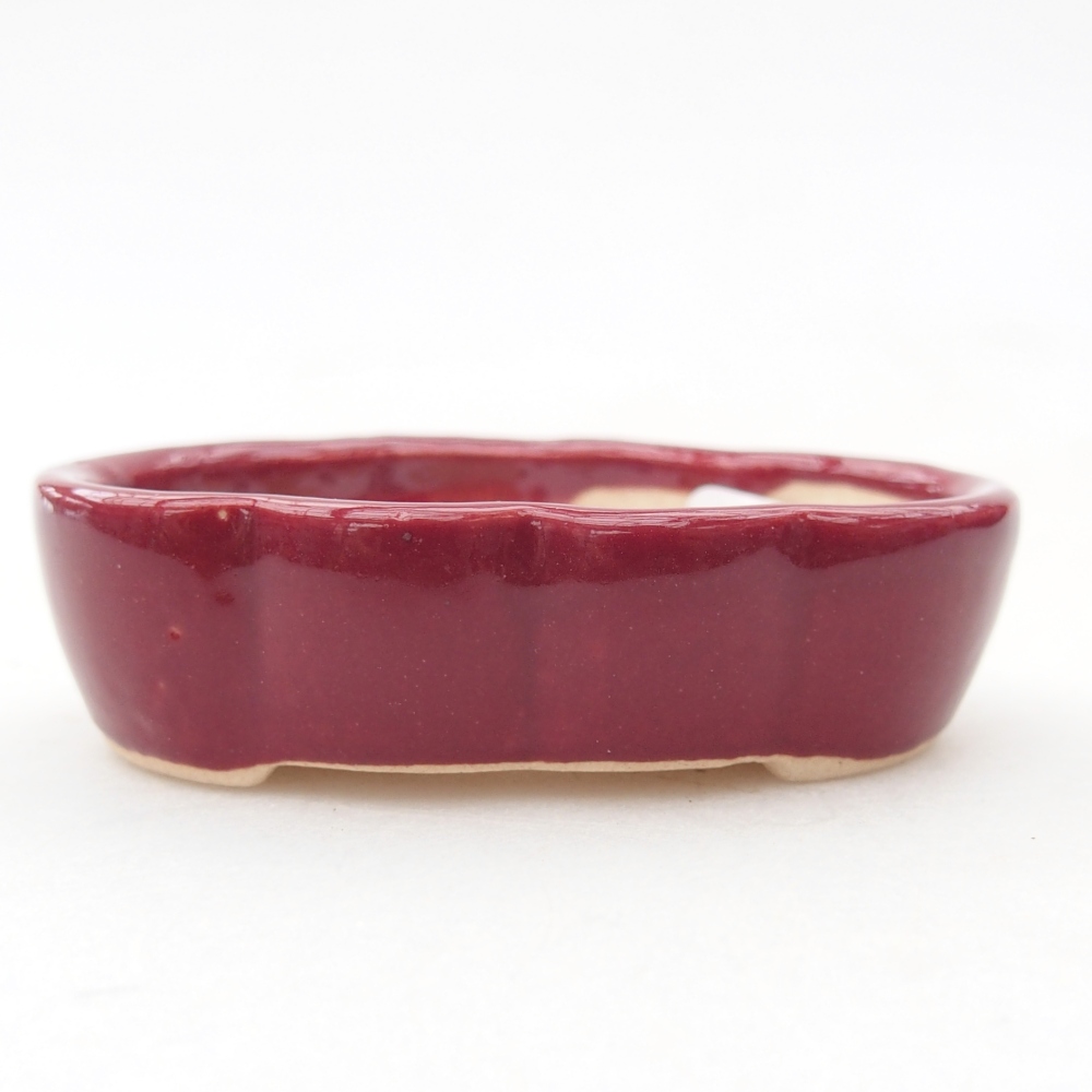 Mini bonsai bowl 5,5 x 3,5 x 1,5 cm, burgundy