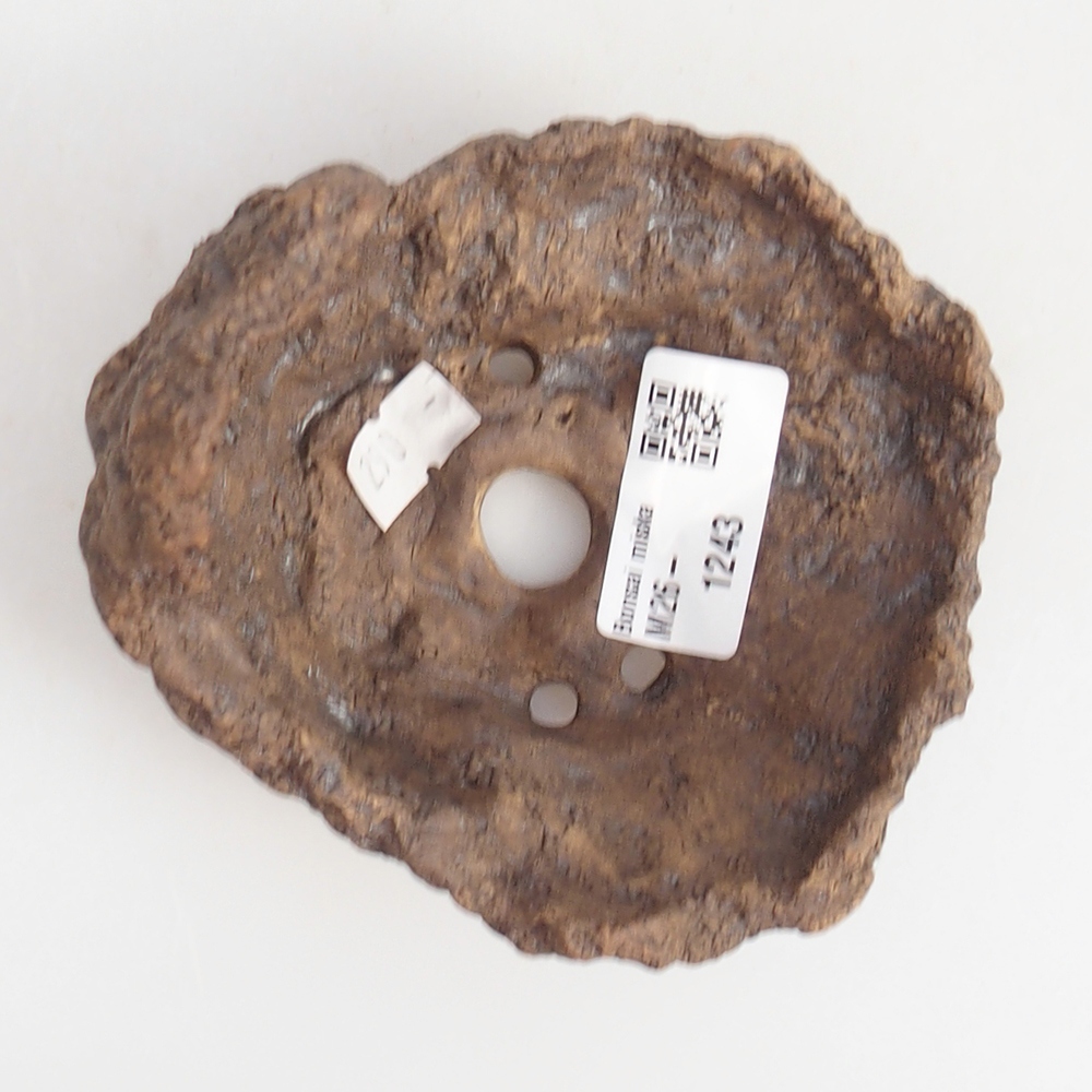 Ceramic Shell 10 x 9 x 9 cm , colour brown