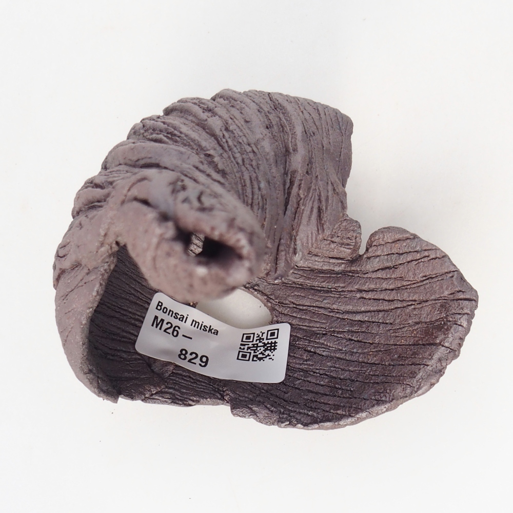 Ceramic Shell 8 x 9 x 14 cm , metallic colour