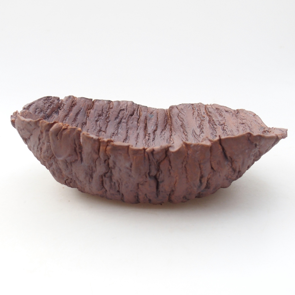 Ceramic Shell 20 x 19 x 6,5 cm , colour brown