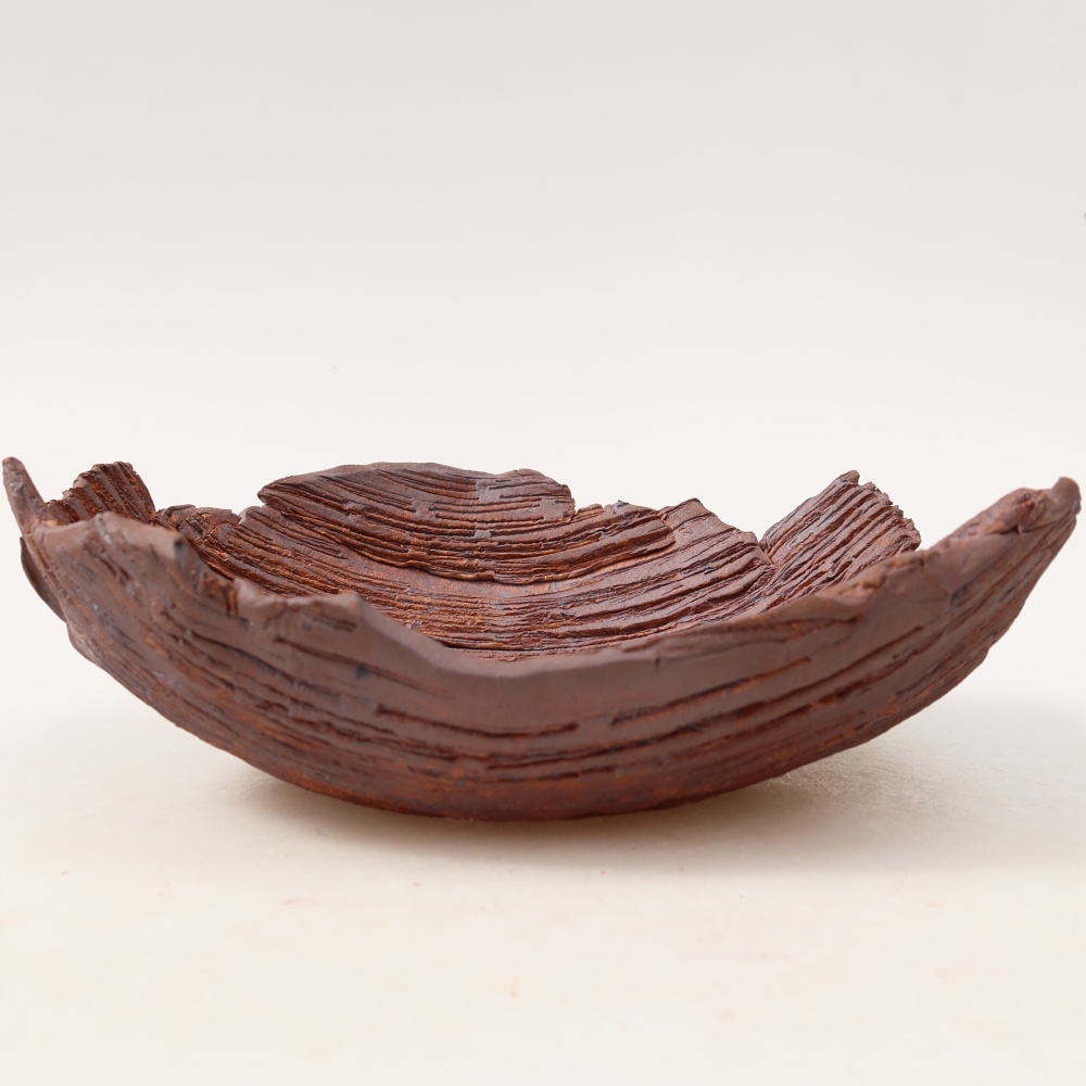 Ceramic Shell  20 x 16 x 7 cm, brown