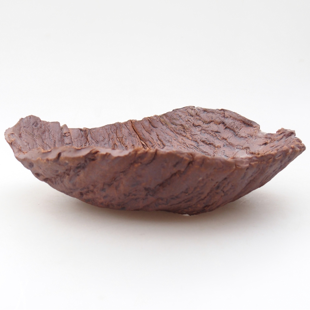 Ceramic shell 19 x 17 x 5 cm , colour brown