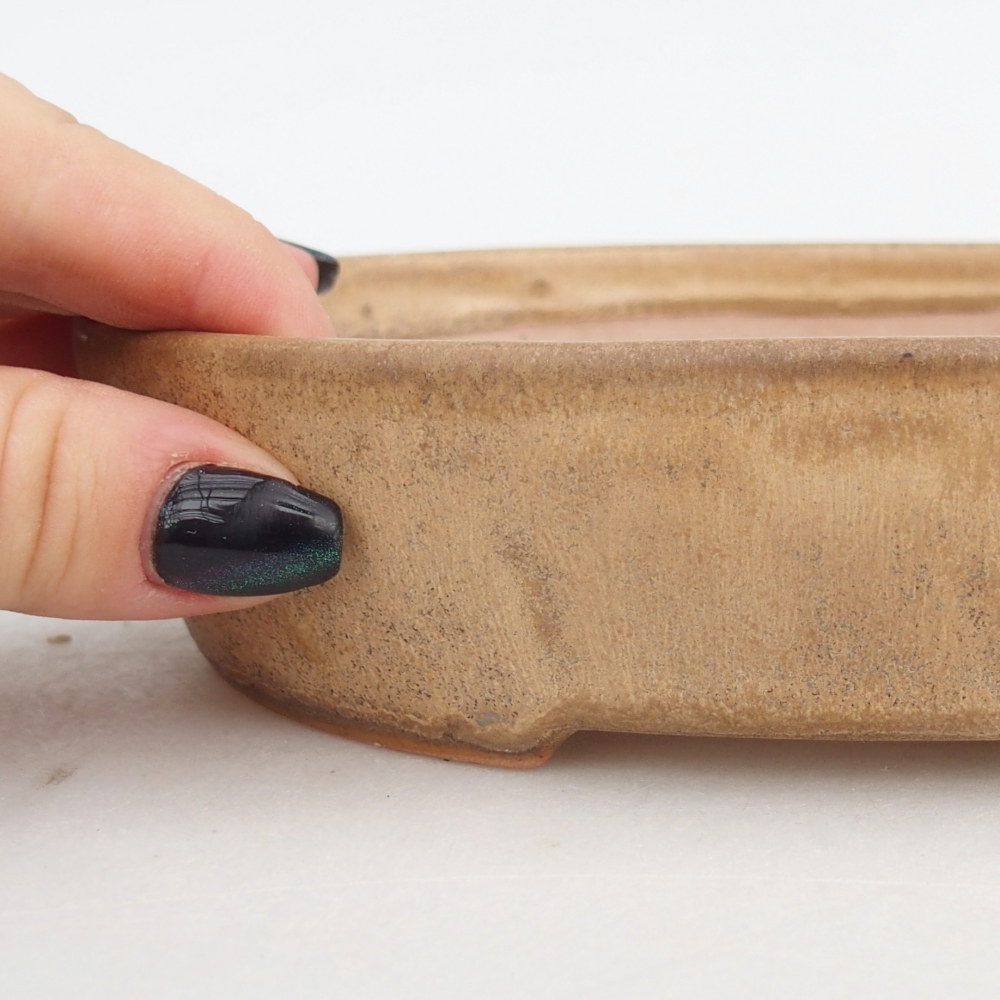 Ceramic bonsai bowl 17 x 14 x 4 cm, colour beige