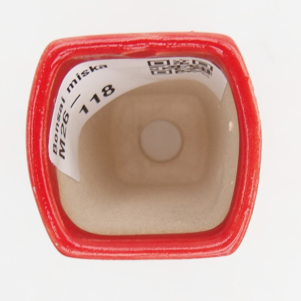 Mini bonsai bowl 3,5 x 3 x 5,5 cm, colour red