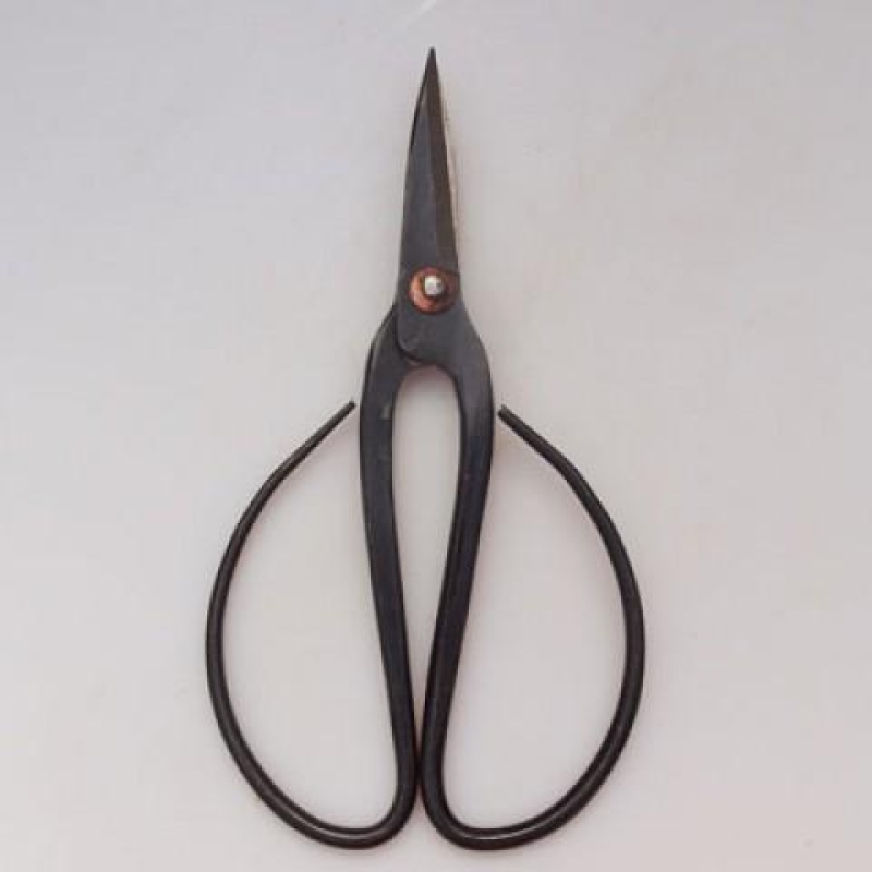 Cutting Scissors 12 cm