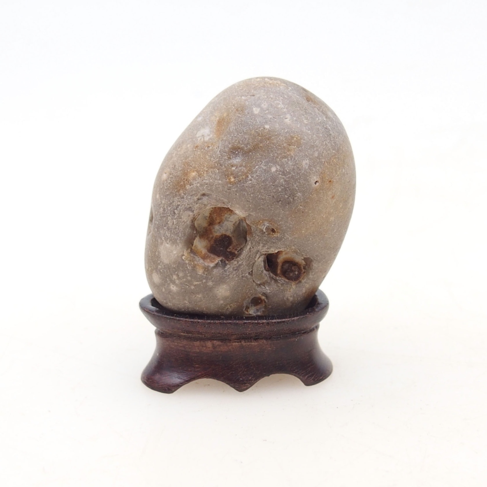 Suiseki - Stone with DAI (wooden pad)