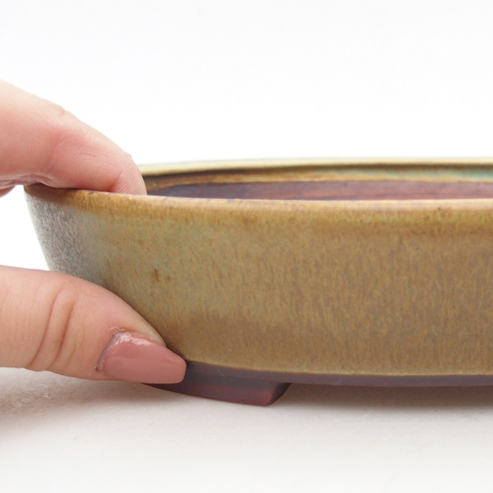 Ceramic bonsai bowl 22,5 x 20 x 4,5 cm, green