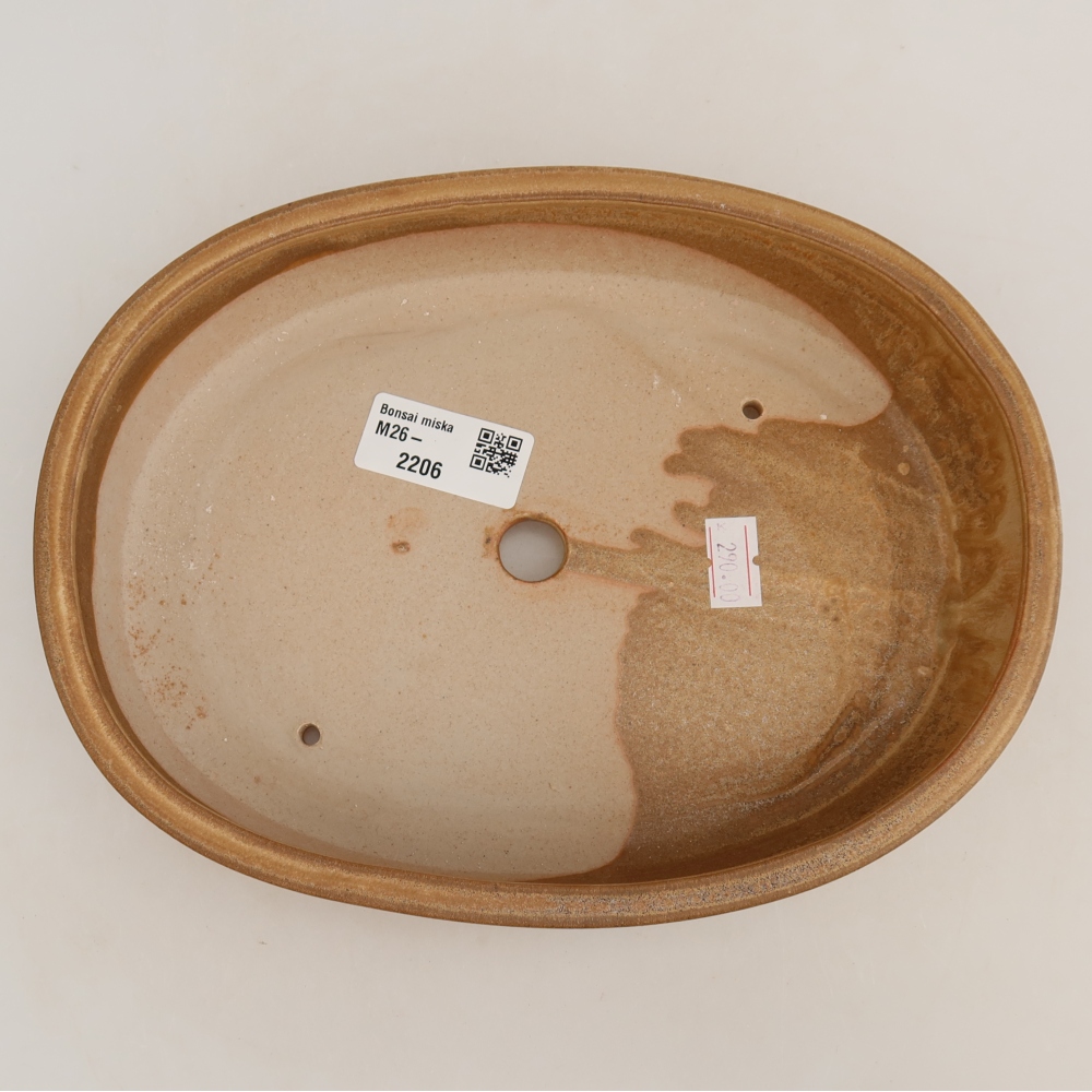 Ceramic bonsai pot, 22 x 17 x 4 cm, beige