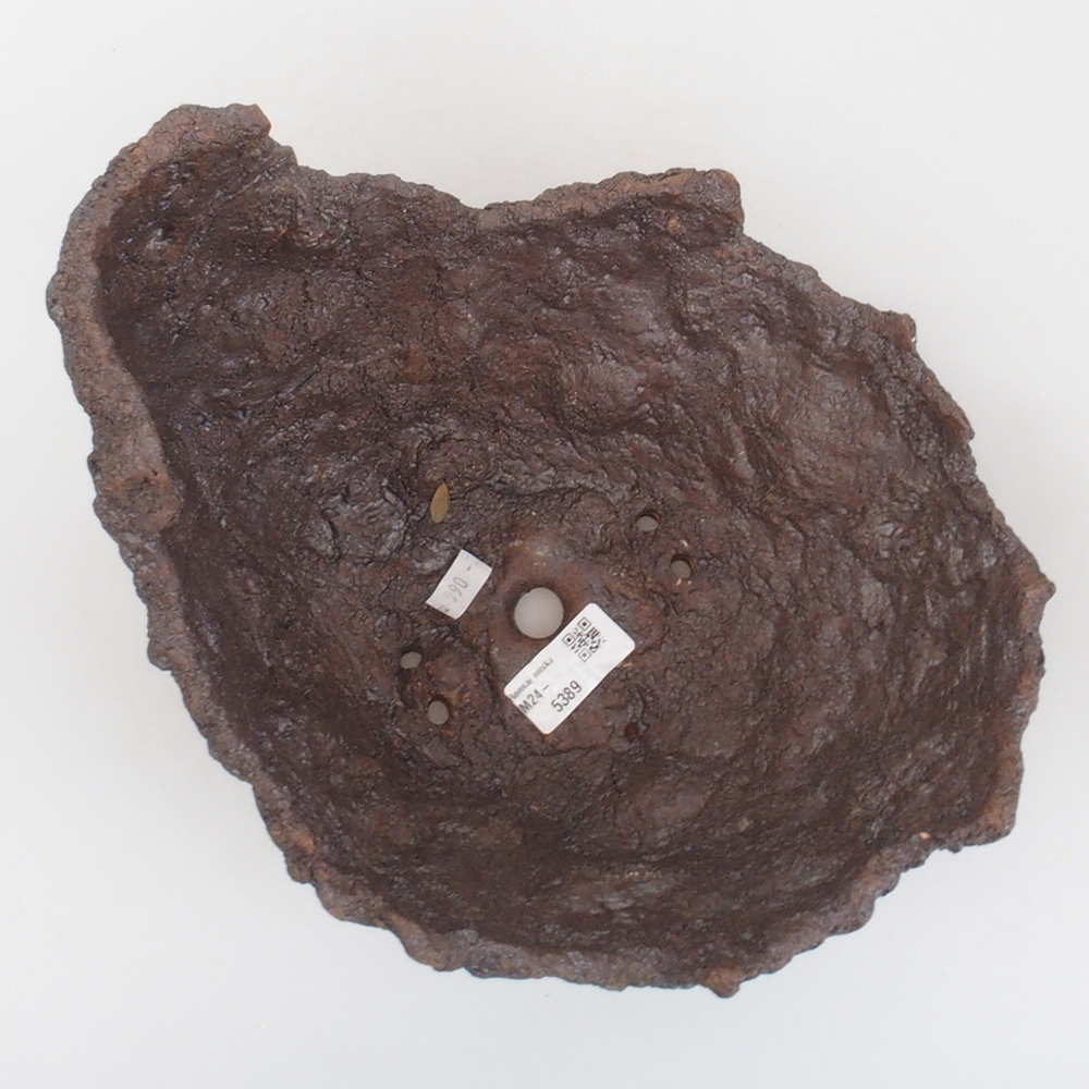 Ceramic shell 23 x 19 x 22 cm, brown color