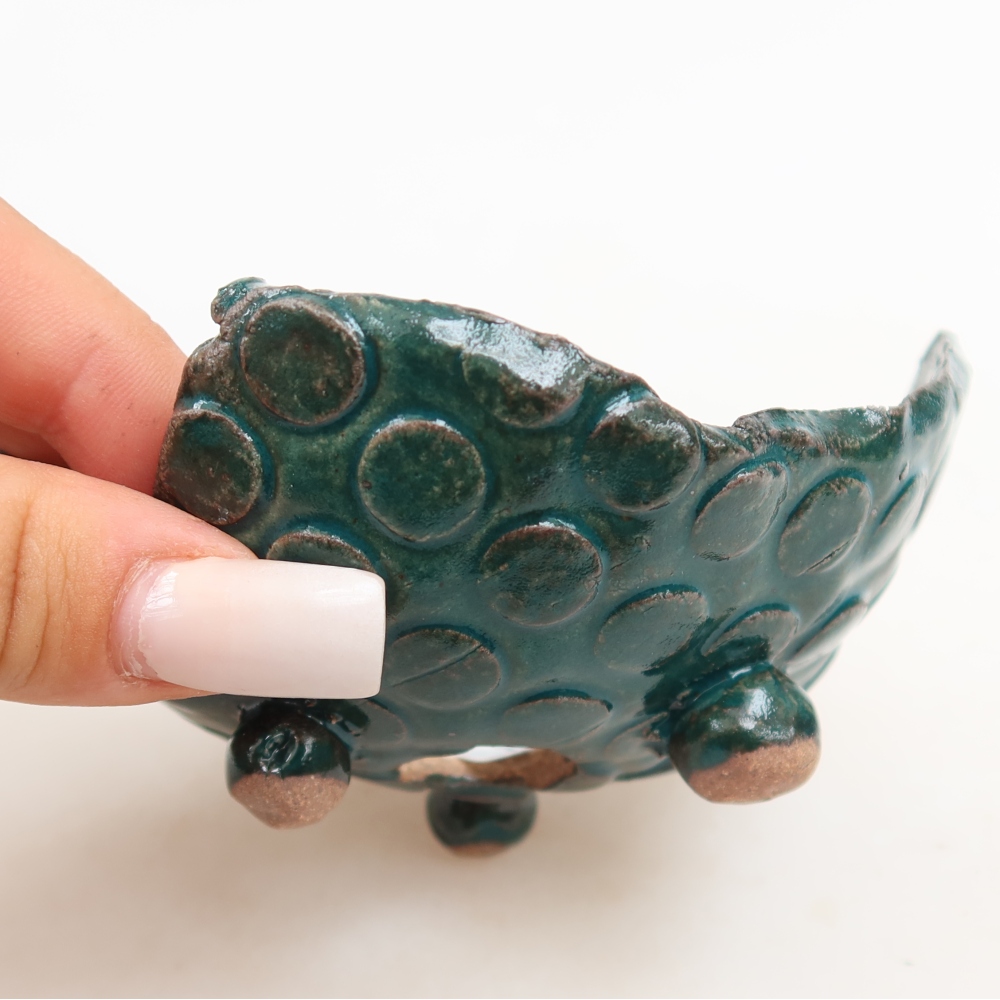 Ceramic Shell  10 x 9 x 6 cm, green