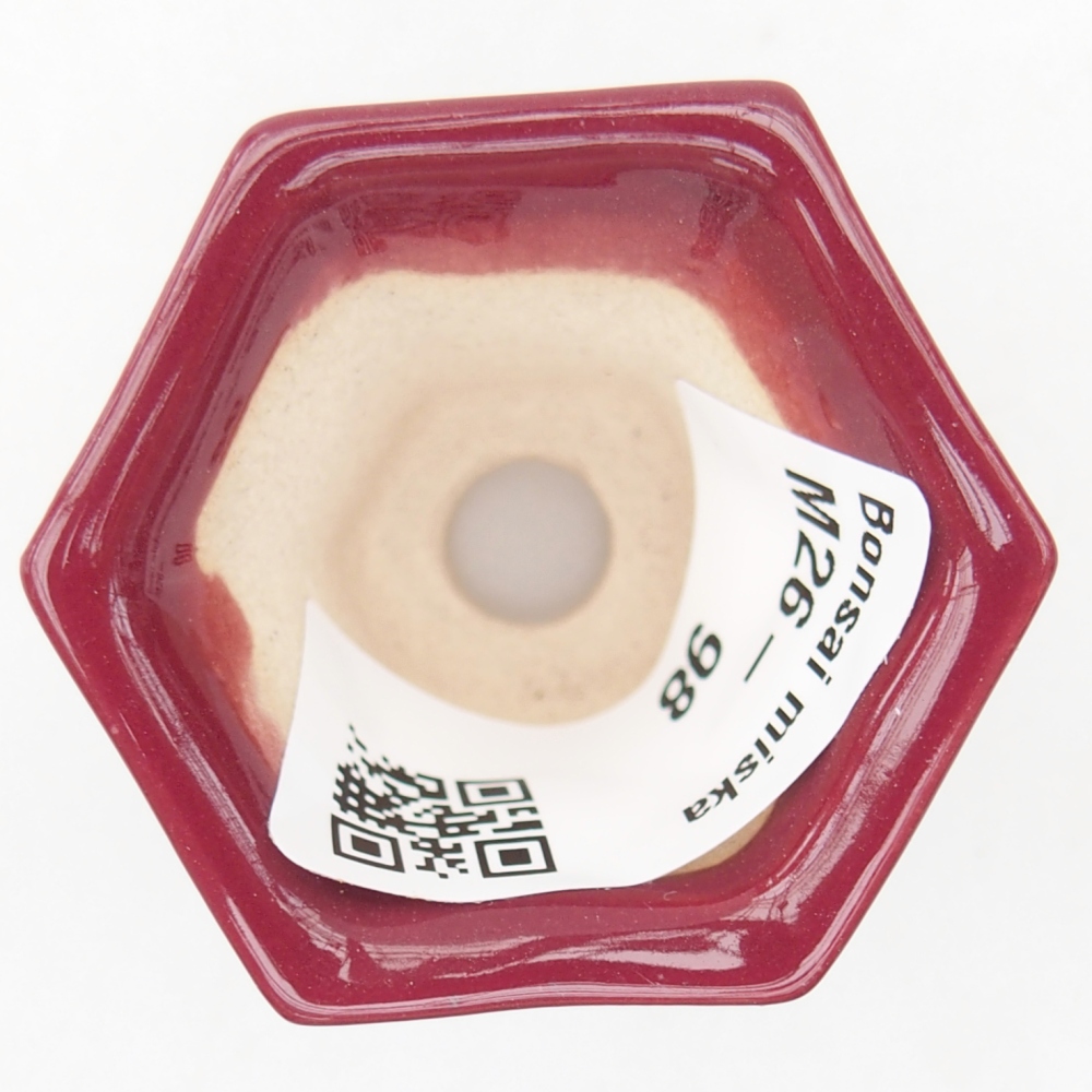 Mini bonsai bowl 4 x 4 x 3,5 cm, burgundy