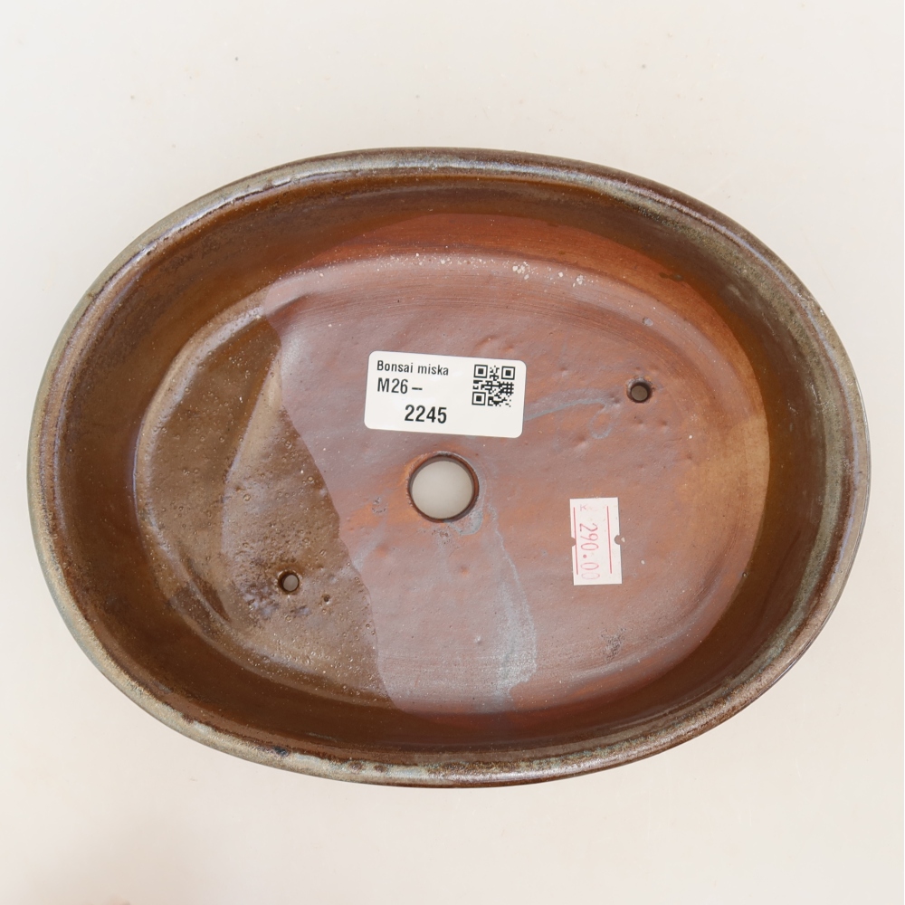Ceramic bonsai pot, 19 x 14.5 x 5 cm, brown