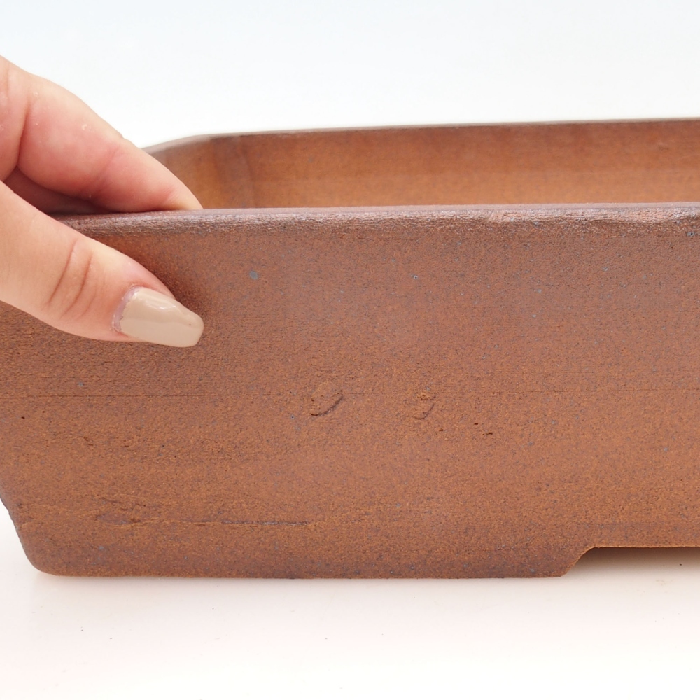 Bonsai bowl 41,5 x 33 x 9 cm , colour brown - PERSONAL COLLECTION OR PALLET TRANSPORT ONLY