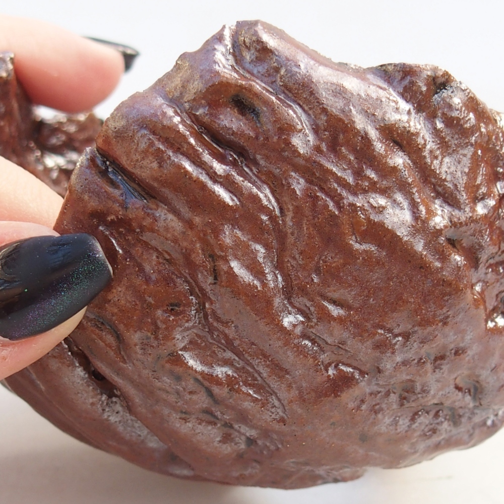 Ceramic Shell 10 x 10 x 7 cm , colour brown