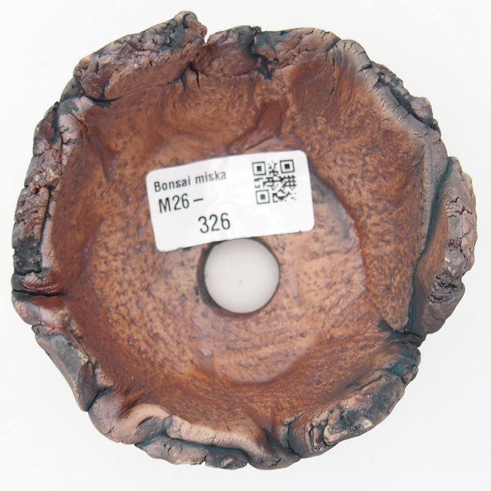 Ceramic Shell 9 x 9 x 6 cm , colour green