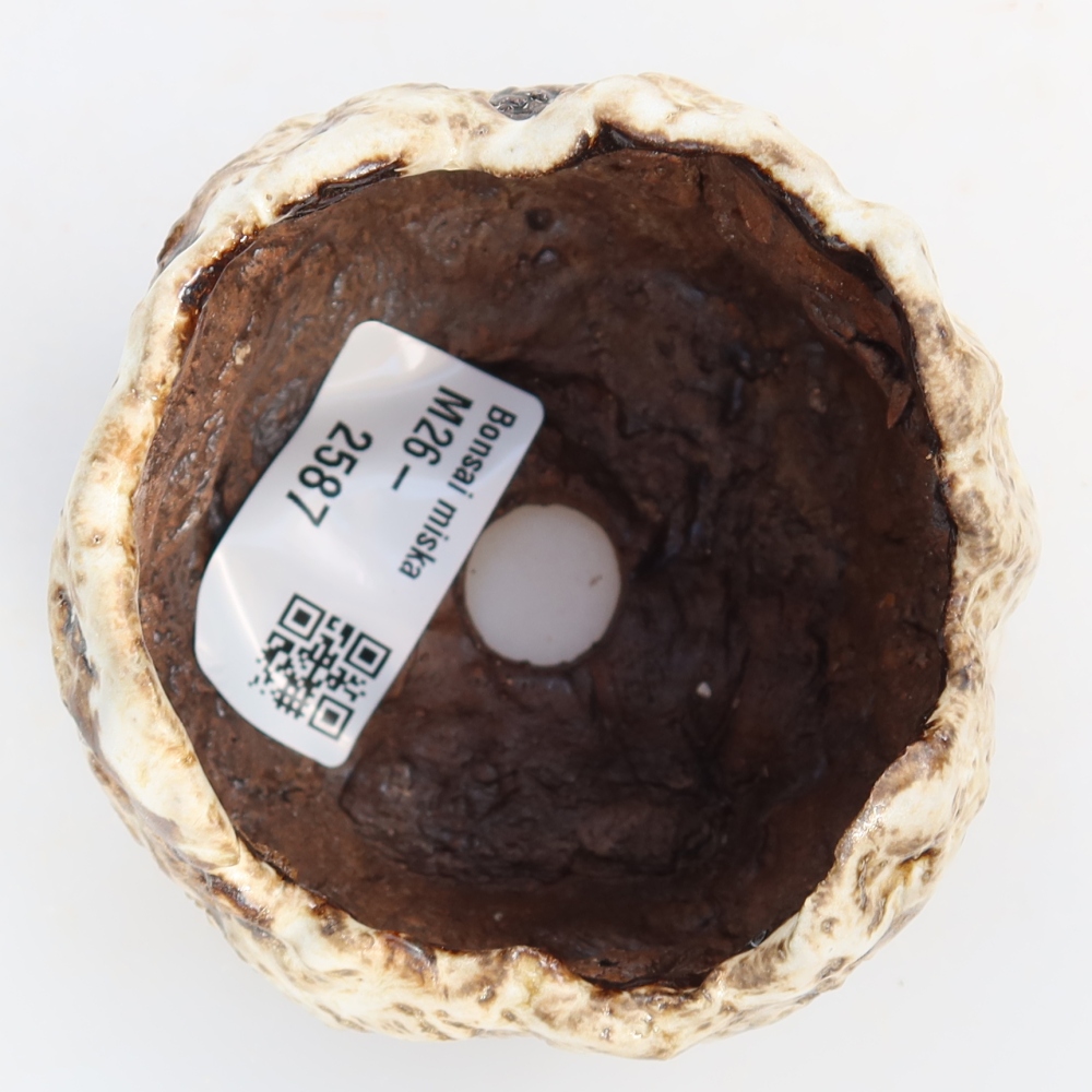Ceramic Shell, 7.5 x 7 x 5.5 cm, white-brown